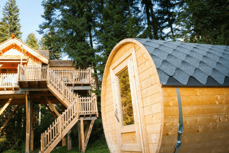 Domaine d'anniversaire proche Vall�e d'Abondance et Ch�tel